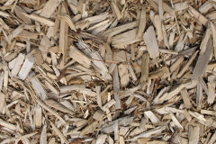 biomass boilers Birch Cross